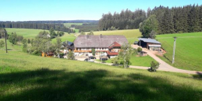 Отель Willmannshof  Фуртванген